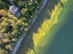 Garrett Bay Road - Image 4